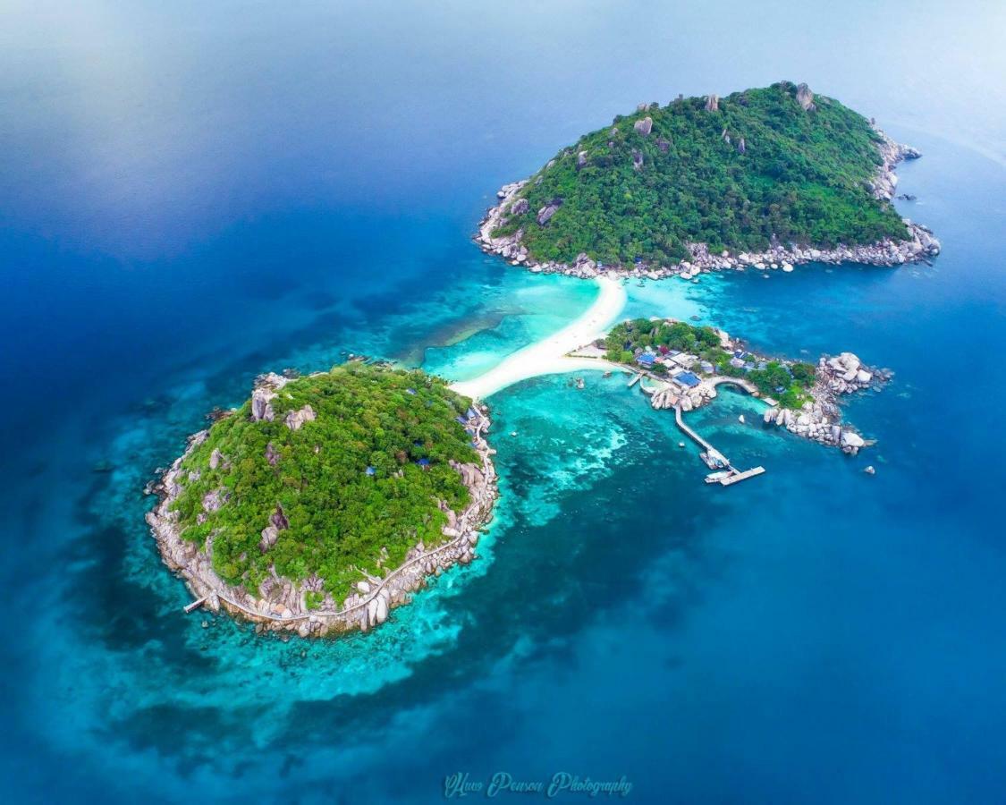 Aloe * Ko Tao